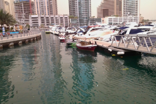 Gabe's Cruises & Tours Dubai